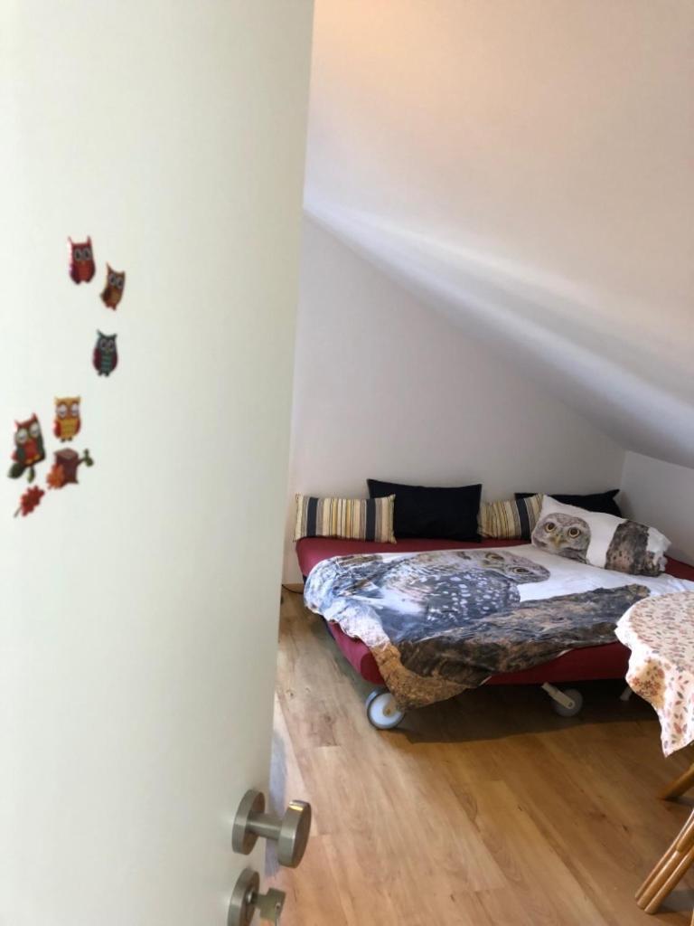 Ferienwohnung Eulennestle 렌즈키르흐 외부 사진