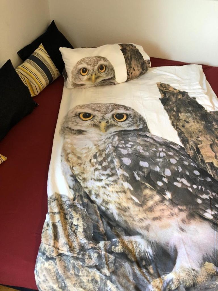 Ferienwohnung Eulennestle 렌즈키르흐 외부 사진